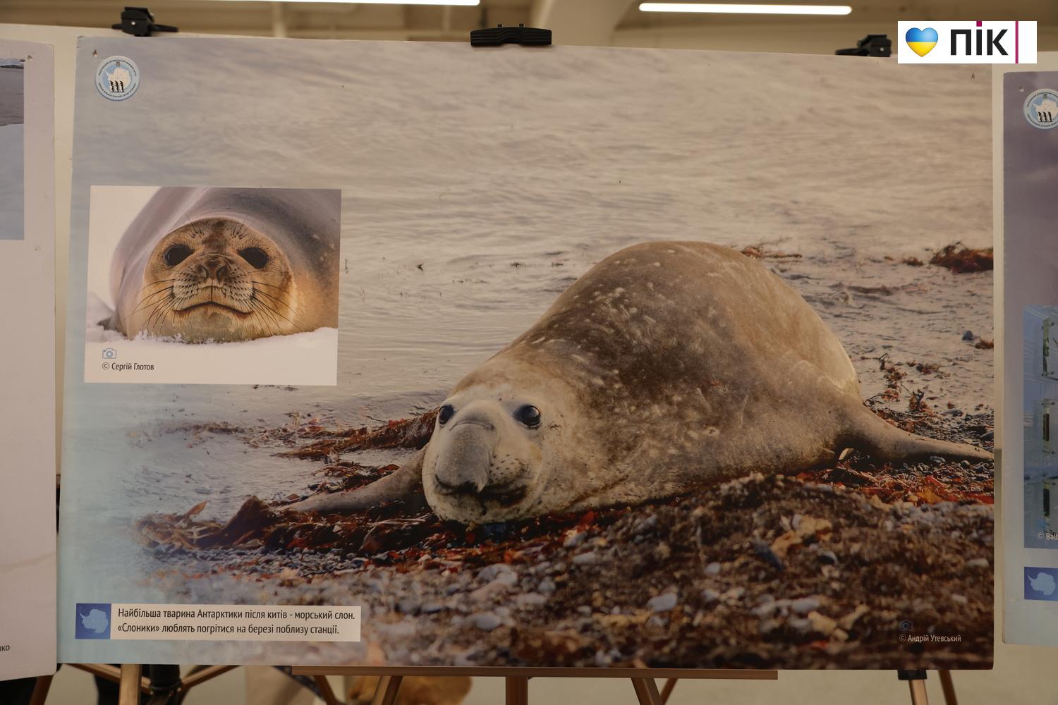 У Франківську вперше презентували виставку про життя українських полярників (ФОТО) 9 G71A5946 resize
