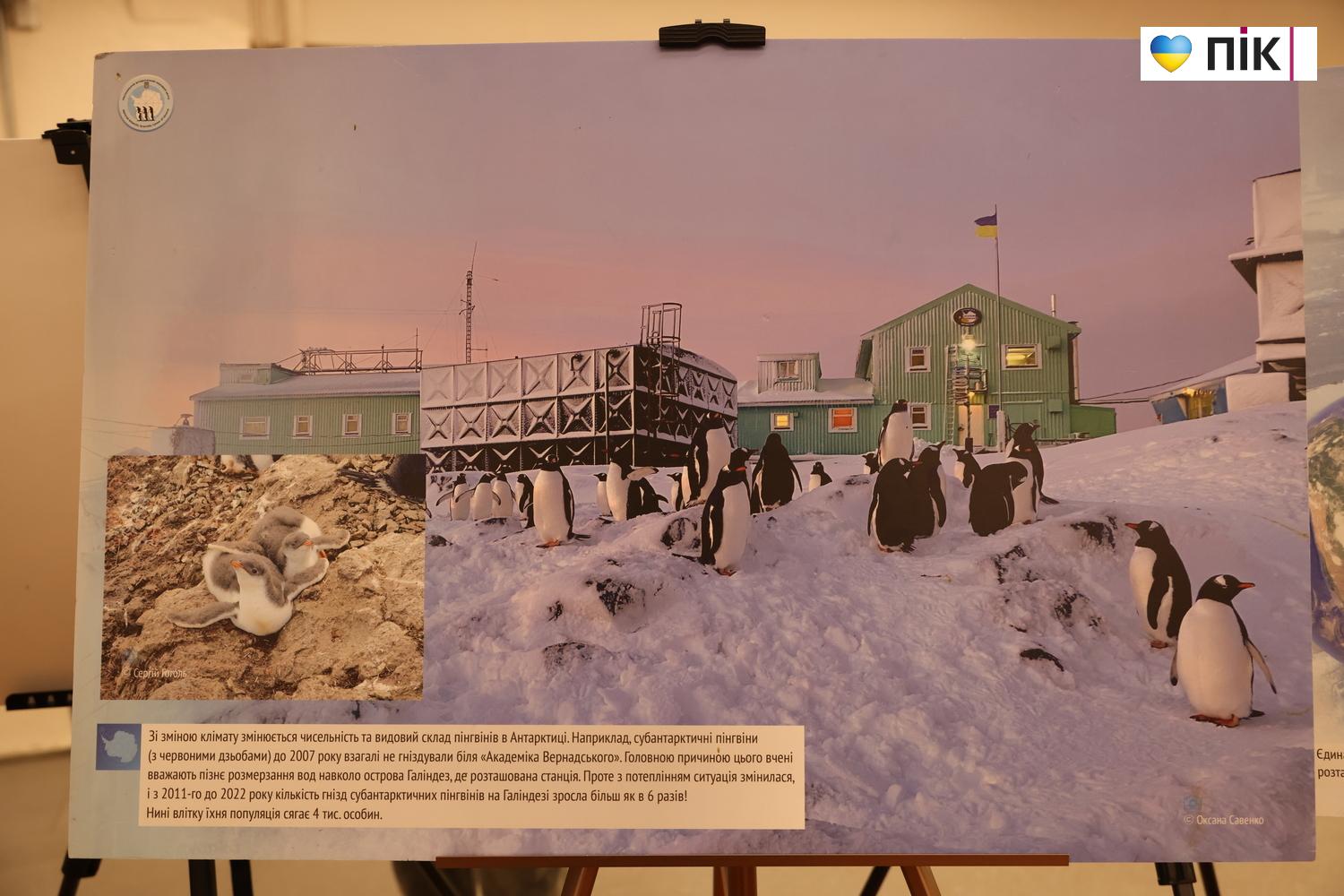 У Франківську вперше презентували виставку про життя українських полярників (ФОТО) 1 G71A5976 resize