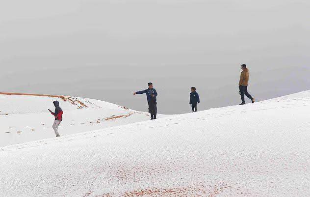 IMG 20260313 072053 720