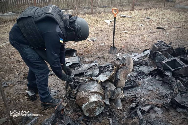 Ворог атакував фермерське господарство на Чернігівщині: загинула тварина (ФОТО) 3 IMG 20260322 110102 233