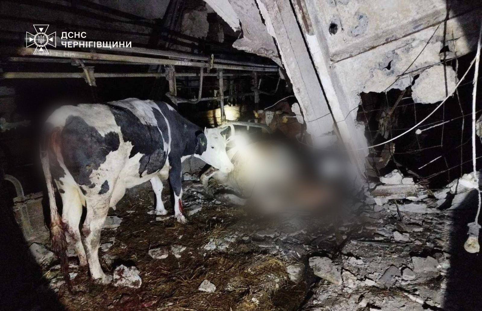 IMG 20260322 110108 423