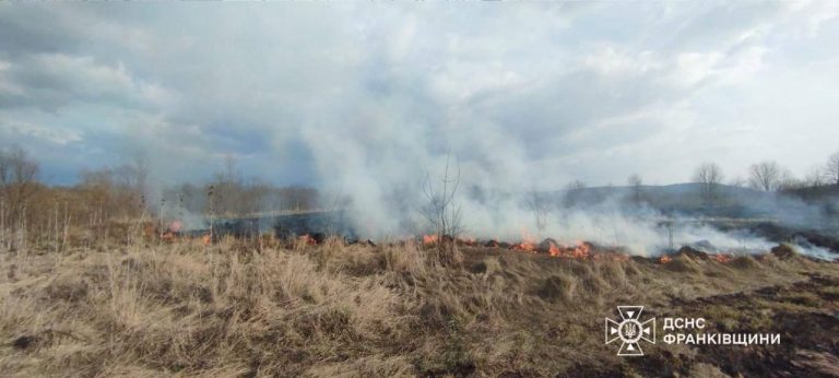За добу на Франківщині виявили шістьох паліїв трави (ФОТО) 10 IMG 5253
