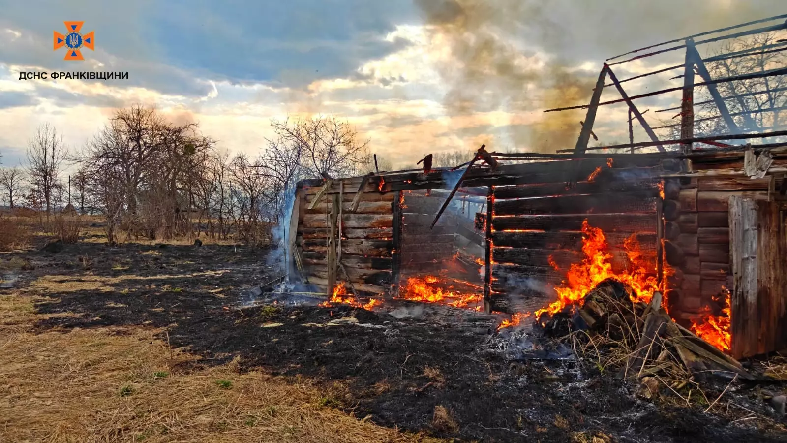 be17c132 5081 40ff a43e 38c57bb73061.jpg