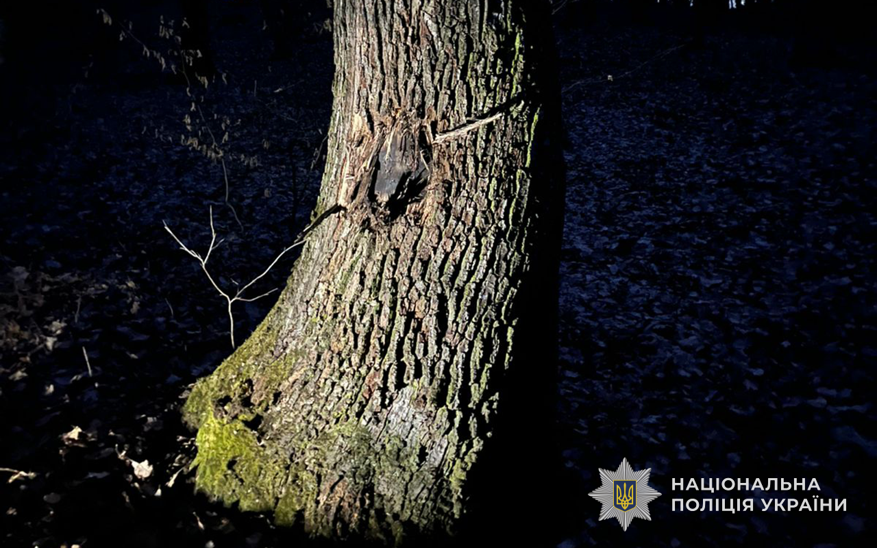 v8 3126631547752f49d1901ad5b8879776