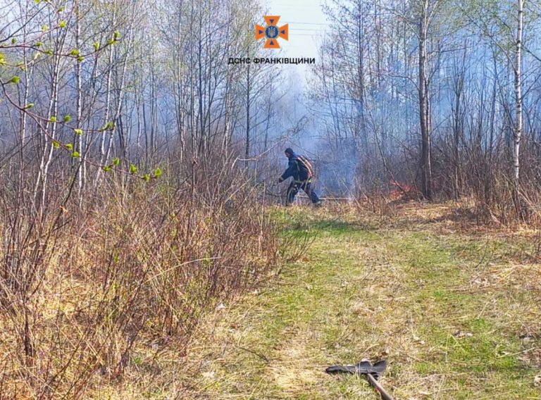 На Прикарпатті за вихідні ліквідували 19 пожеж в екосистемах 10 111 2