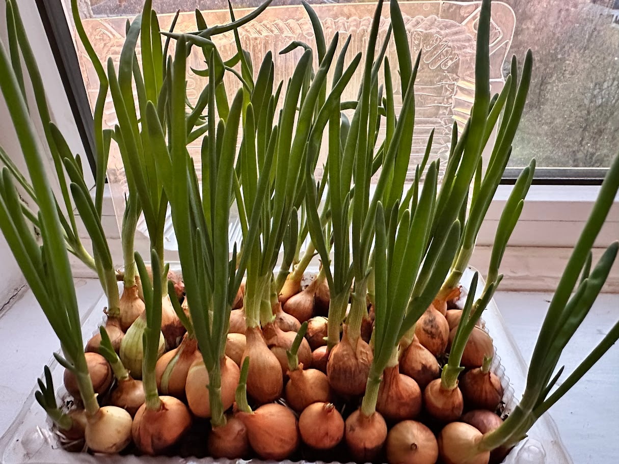 1dad0fcd f213 4aa4 93d3 77866197b902