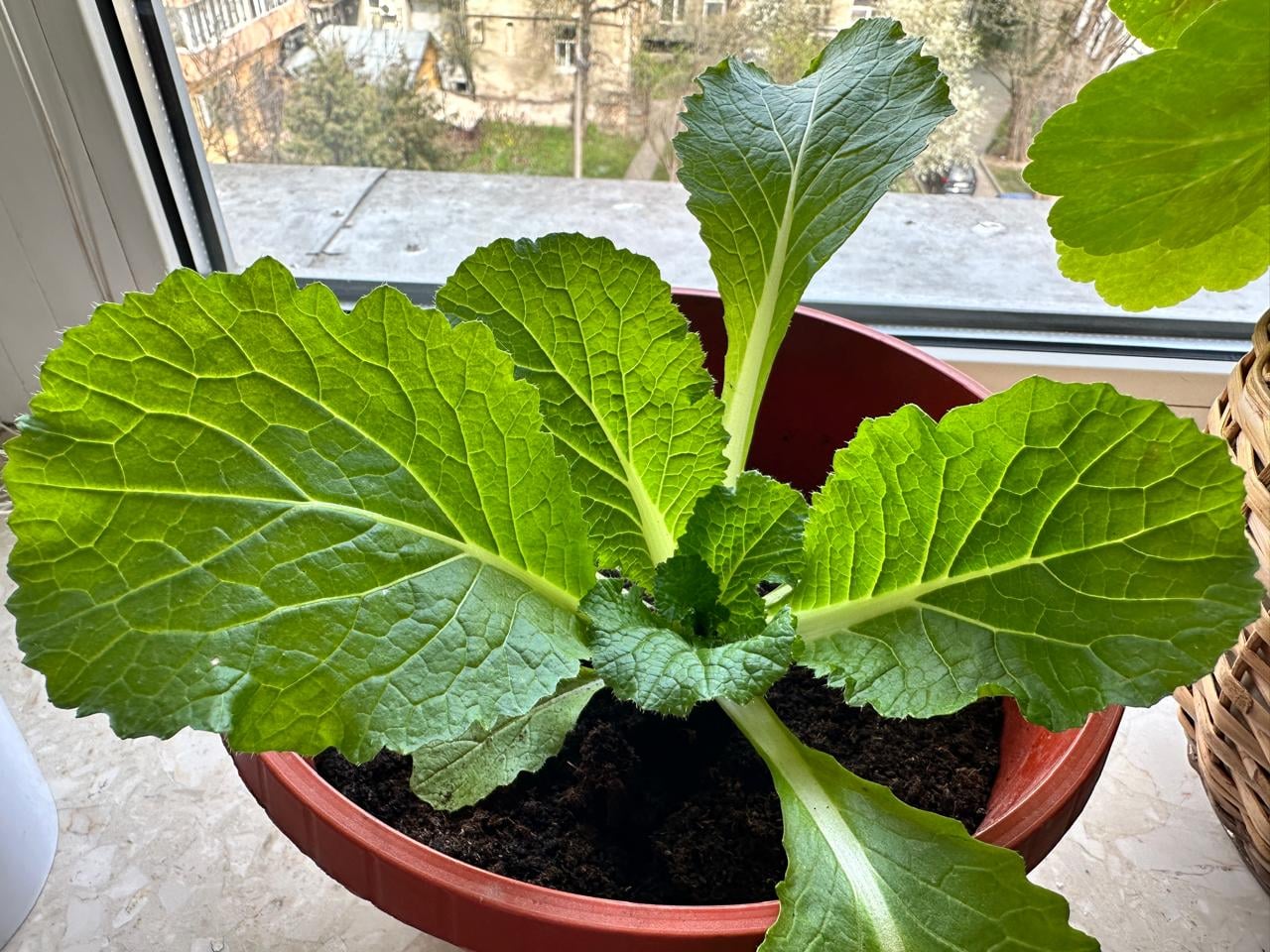 3246d704 145e 4aca 9e98 b40b25dd19c2