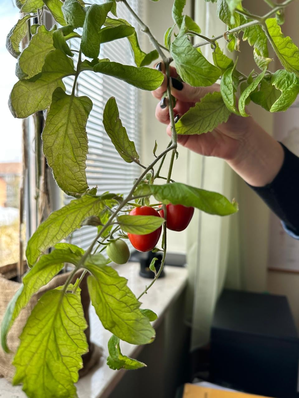 5e125eff e93c 4ac0 a8a0 bb5faace3bf0