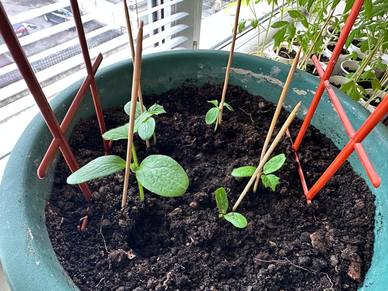 5e3666b5 3dac 4e25 8771 958678fb2c39