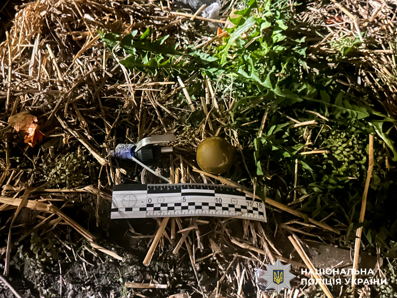 660075289 1277329514571892 8715105350541161939 n