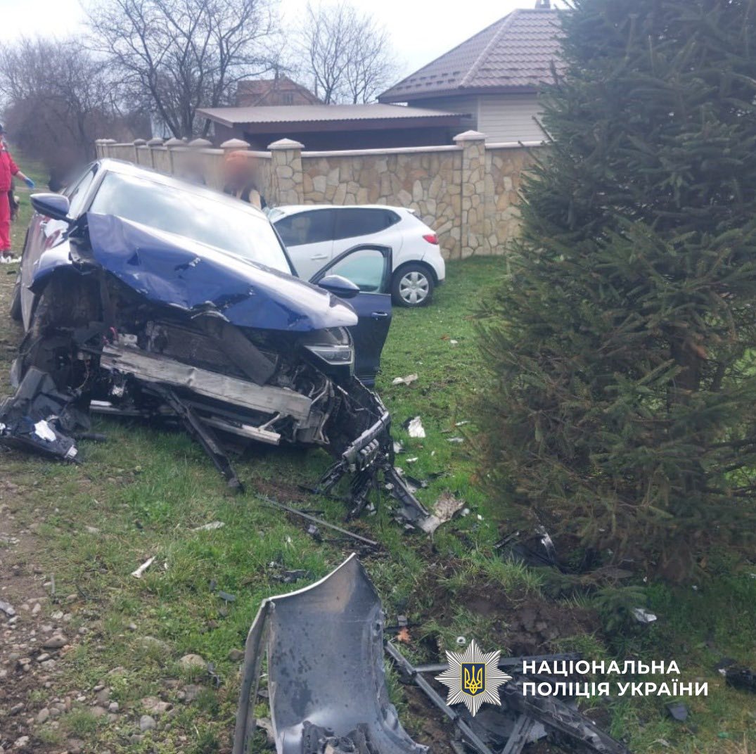 663280830 955474630460100 7483753899820404866 n