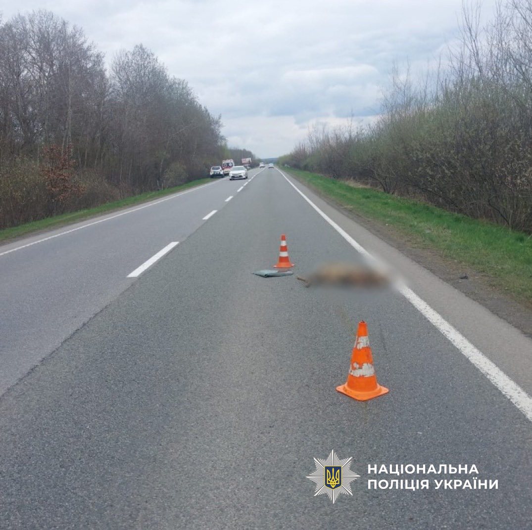 668141429 958471900160373 3180634034959752644 n