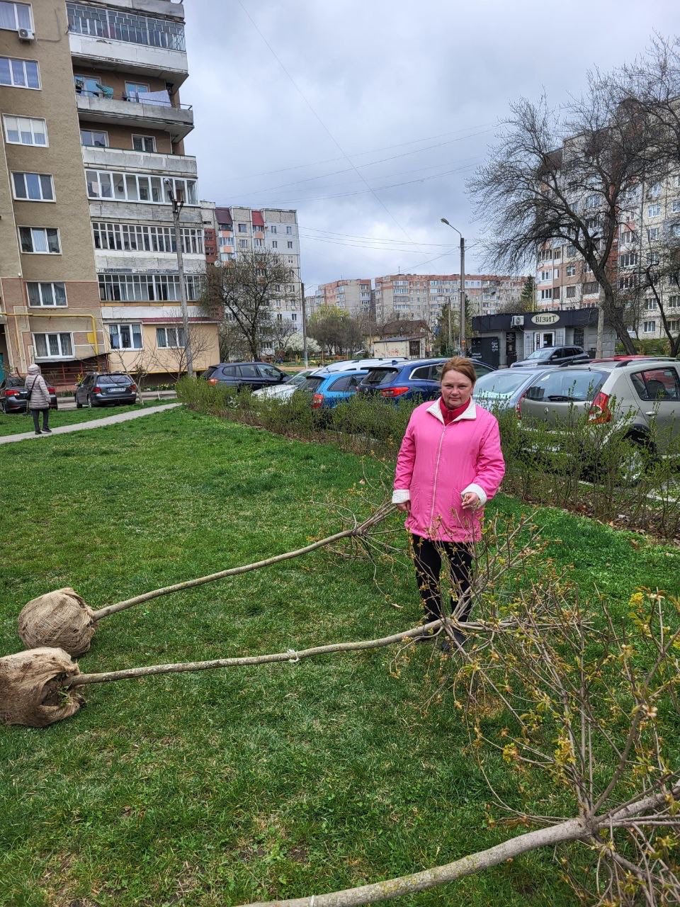 У Франківську планують висадити понад 160 дерев: мешканцям роздали перші саджанці 2 668537429 1538443584949698 1626268988296249661 n