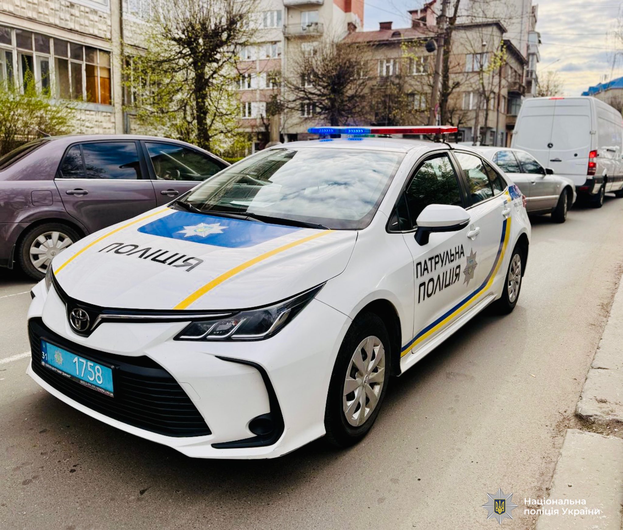 668889882 956108530396710 1089480656555877038 n