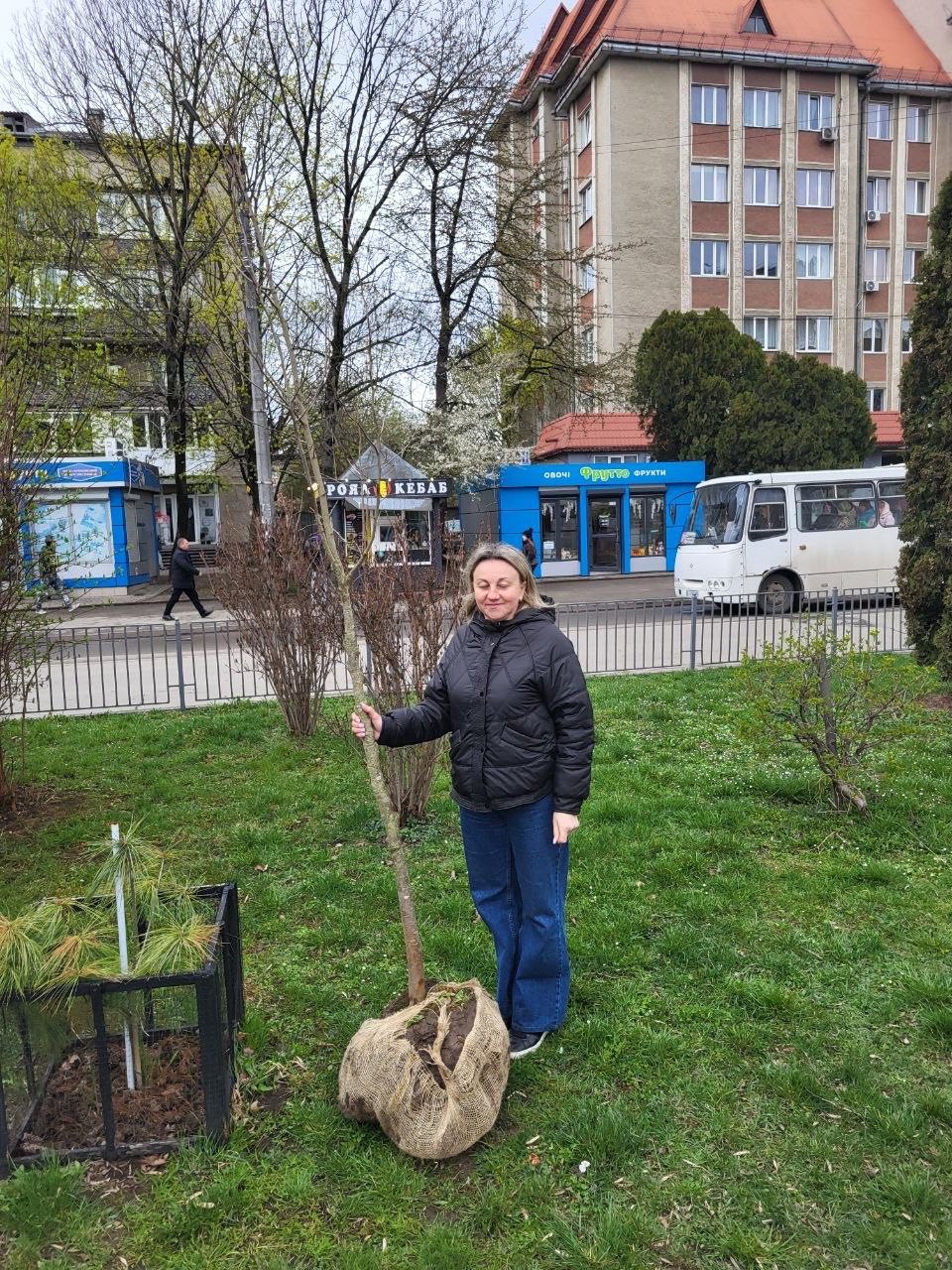 У Франківську планують висадити понад 160 дерев в рамках акції озеленення міста 669640401 1538443528283037 8179074972486419122 n