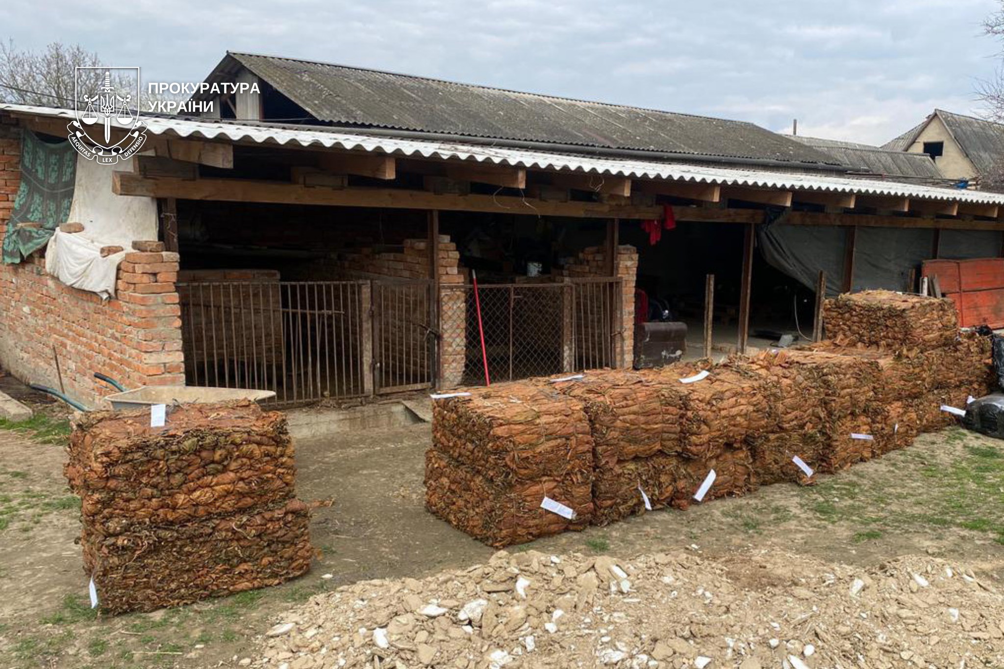 669760013 1410355687795082 759224776589555474 n