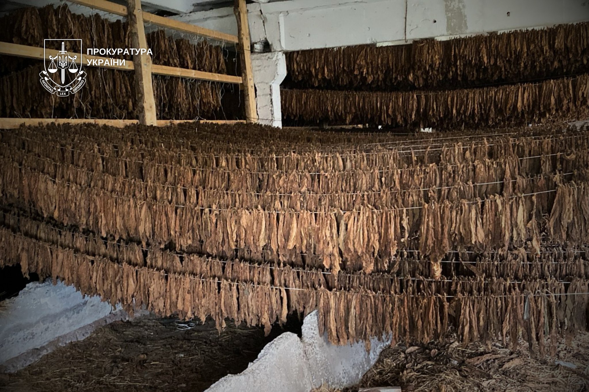 670092815 1410355627795088 2208870381400896111 n