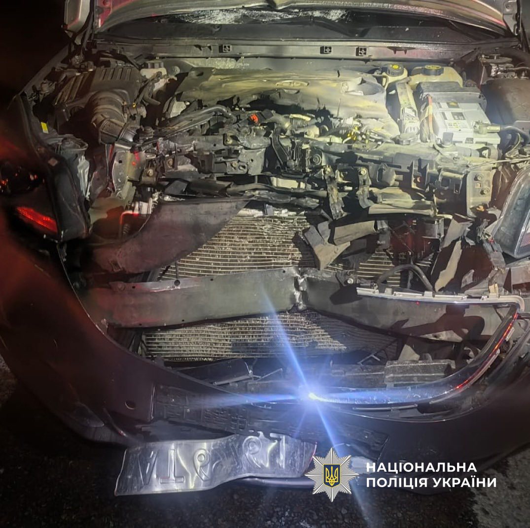 670417168 960550136619216 637225952716044630 n