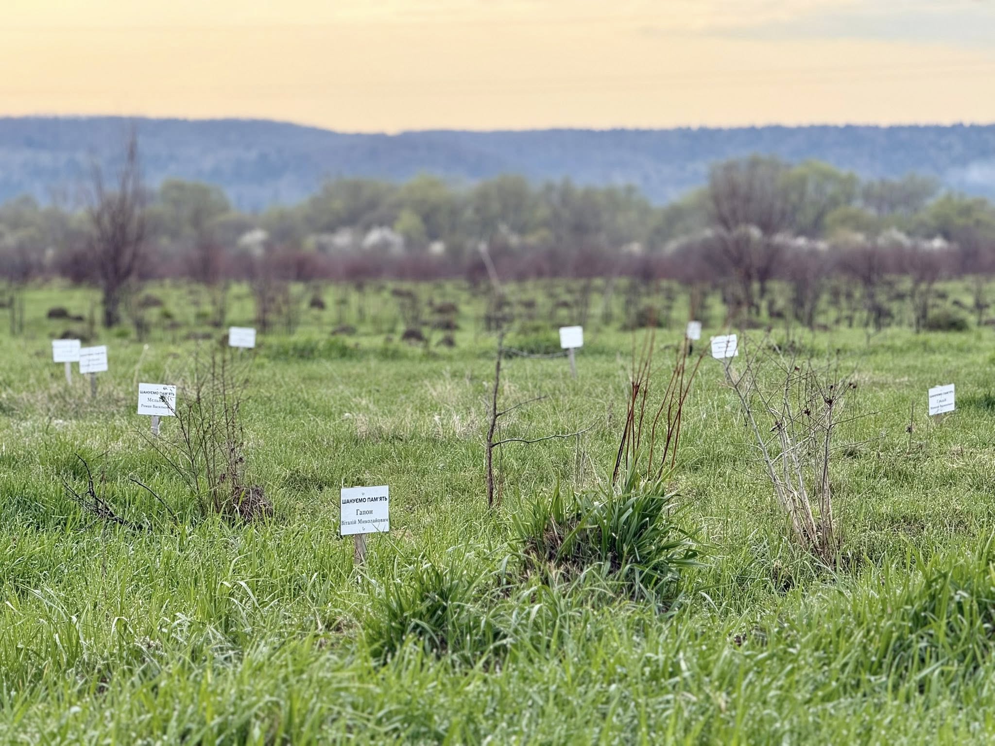 672667643 993509629867204 5756842022935362064 n