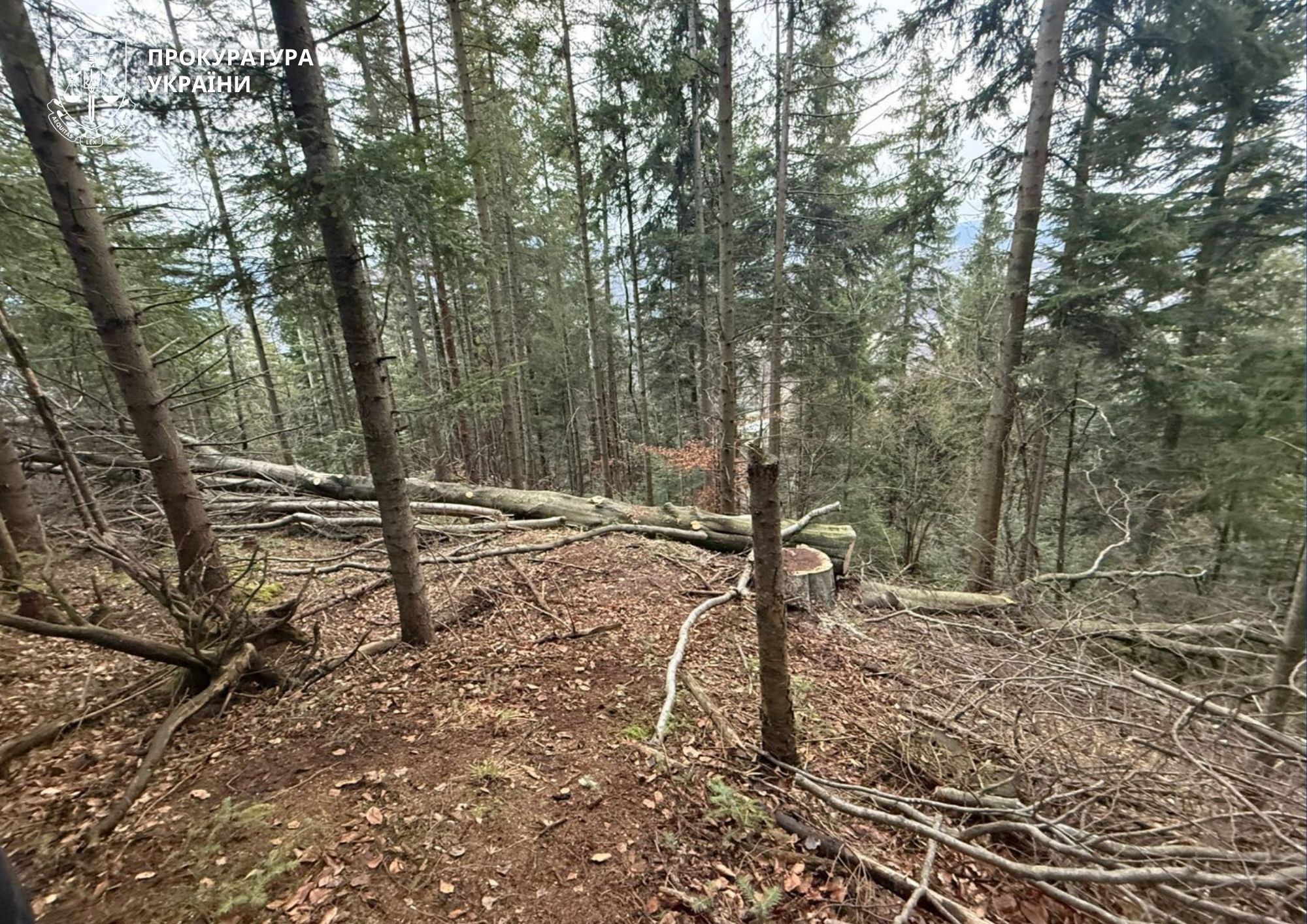 672679047 988921783481769 458743716387755454 n