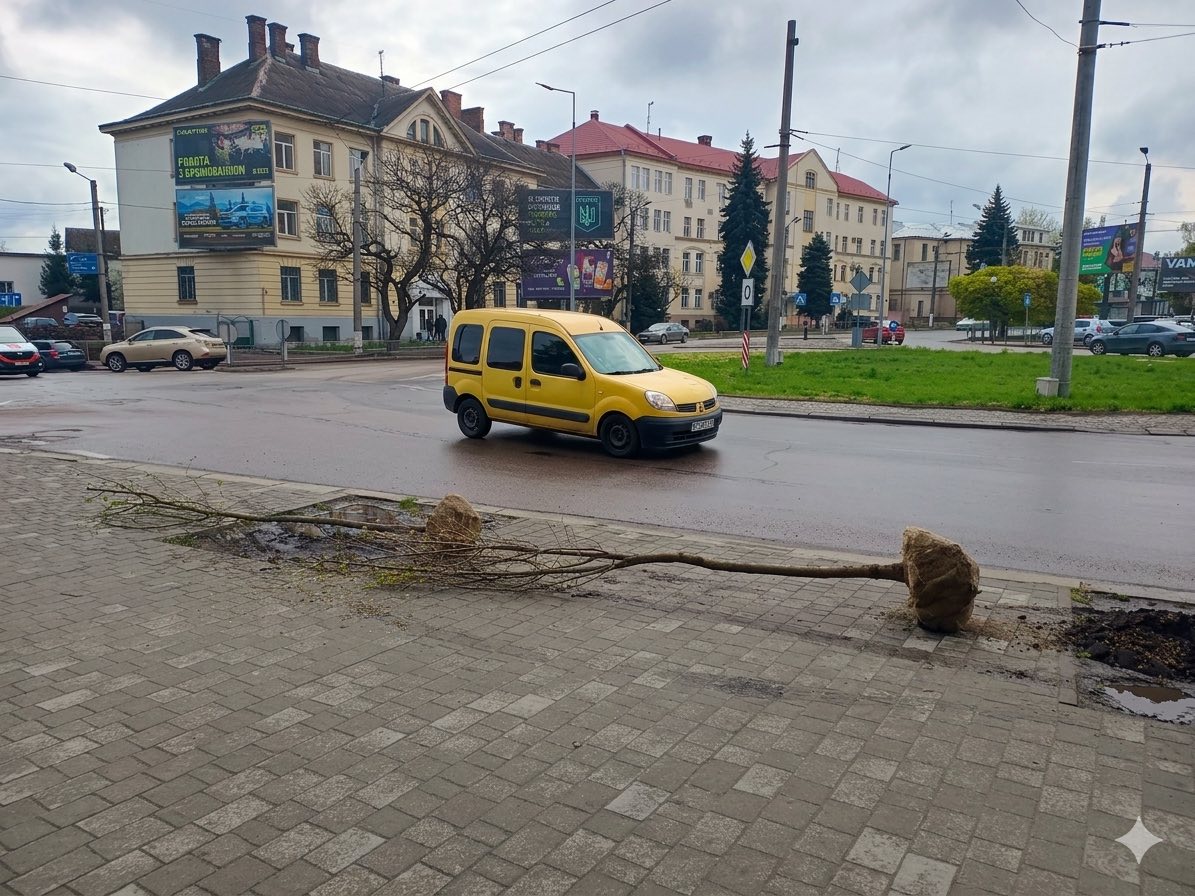 672687673 1549639373830119 8723326363294906326 n