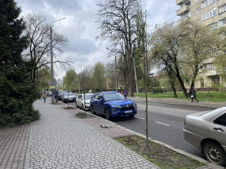 У Франківську висадили липи на вулиці Вовчинецькій (ФОТО) 10 674467264 1549639293830127 6710426601129247166 n