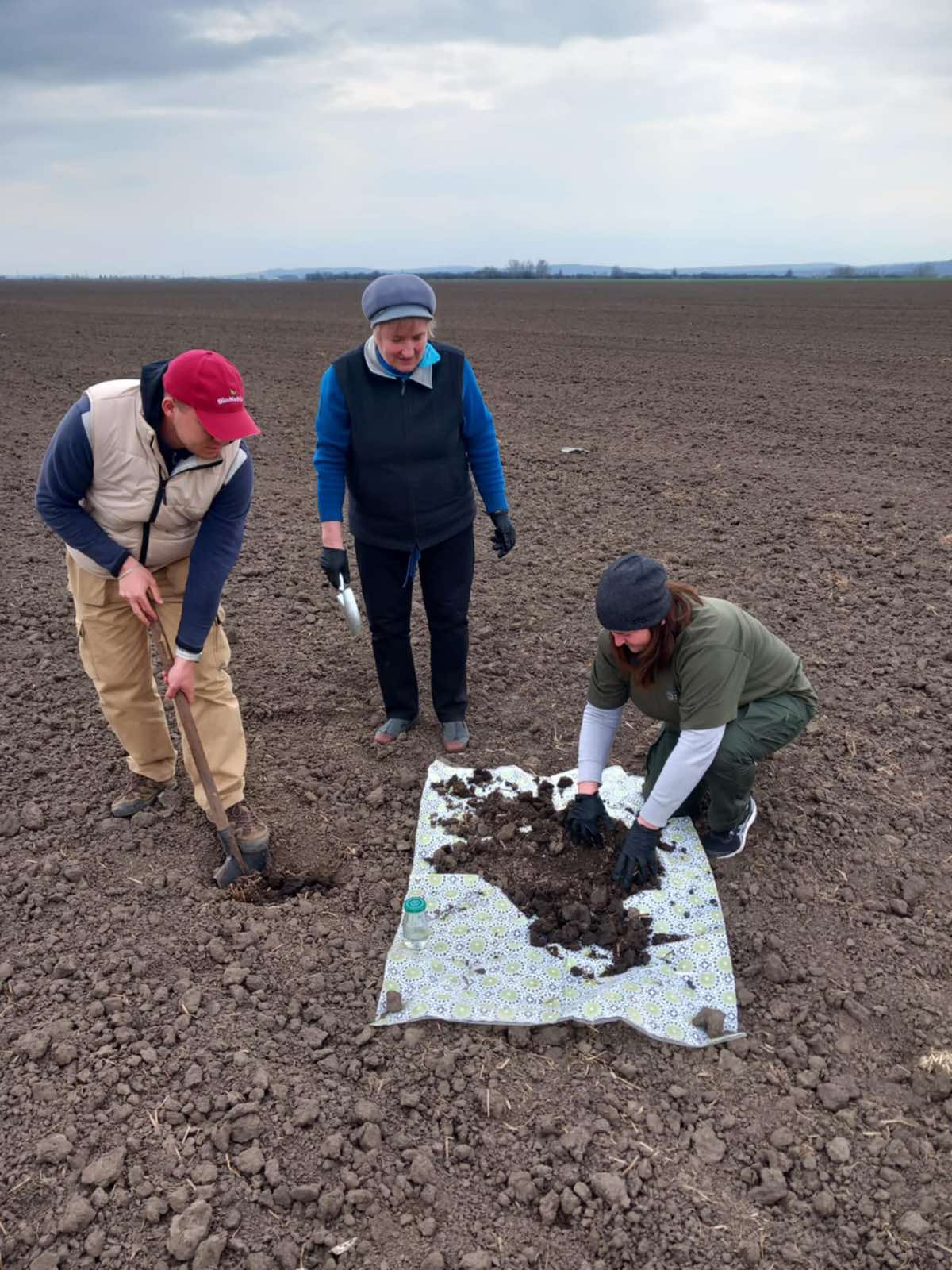 Стало відомо, де на Прикарпатті найбільше шкідників після зими (ФОТО)
