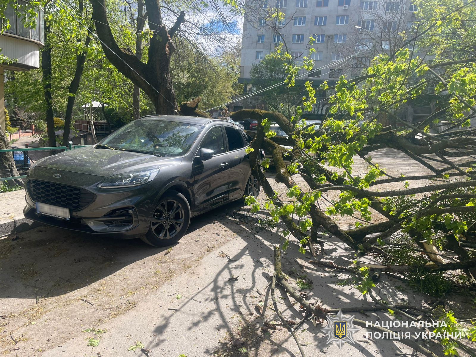 678639226 1401564655348635 7342778936897125886 n