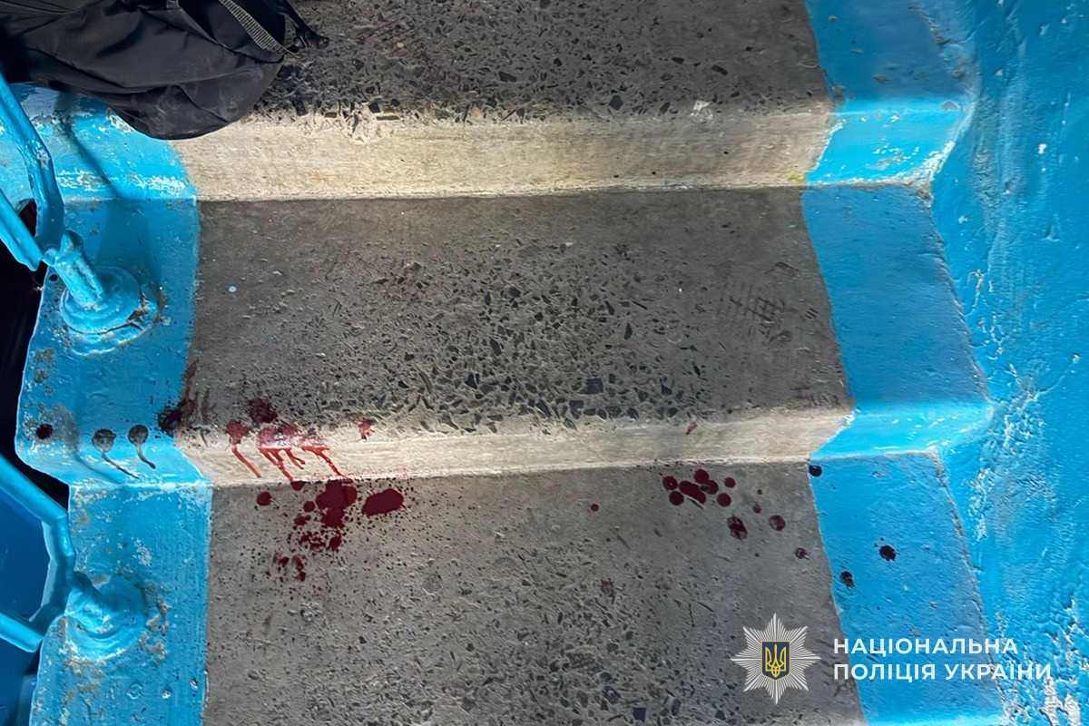 679048288 1287000203621615 3204023319171596161 n