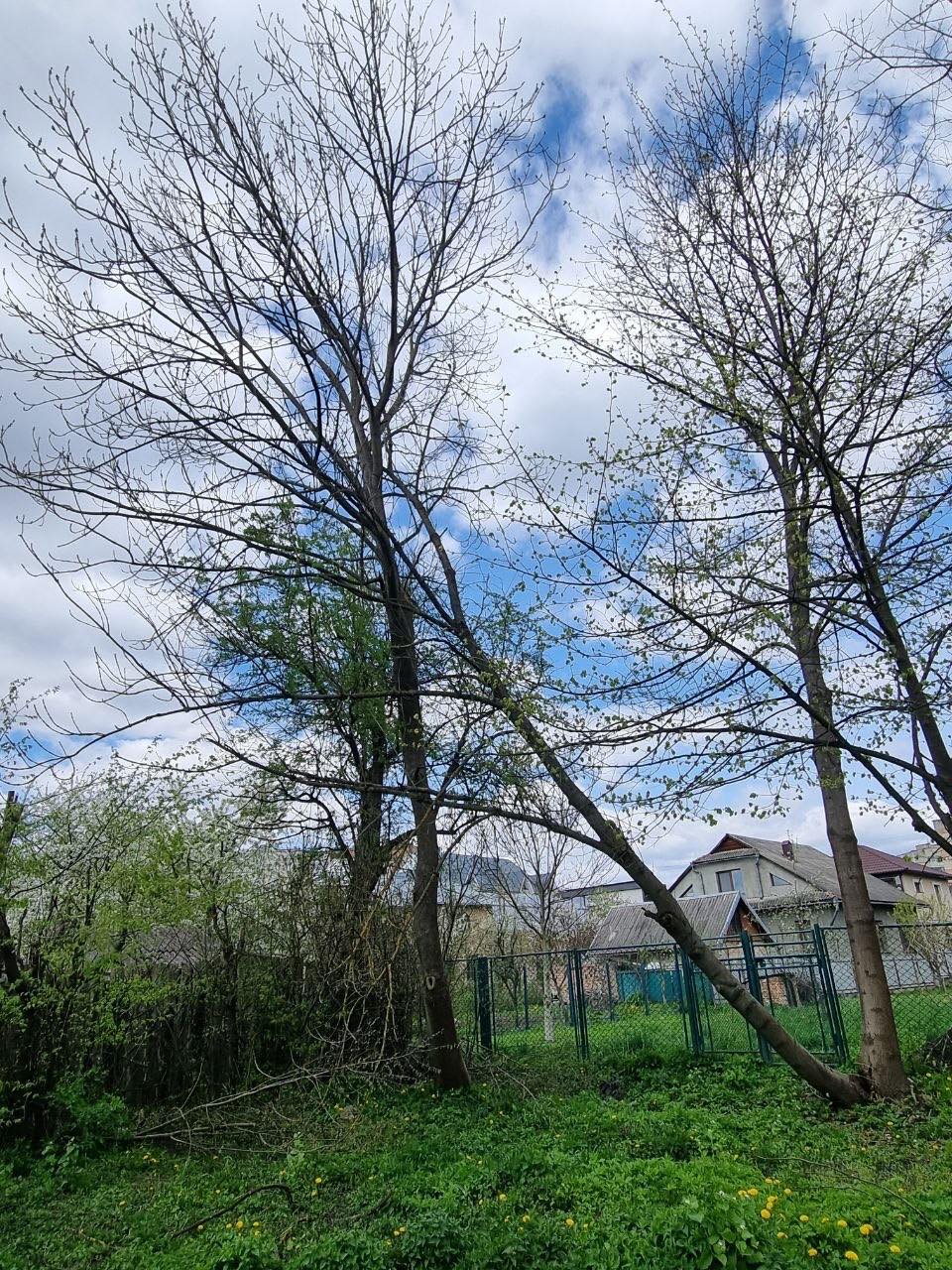 679177576 1714602254002814 8407362569490902998 n