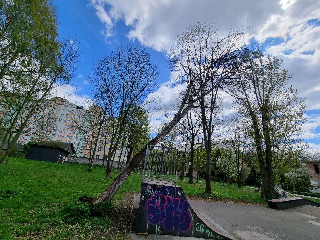 680938887 1714602234002816 4216077700843320978 n