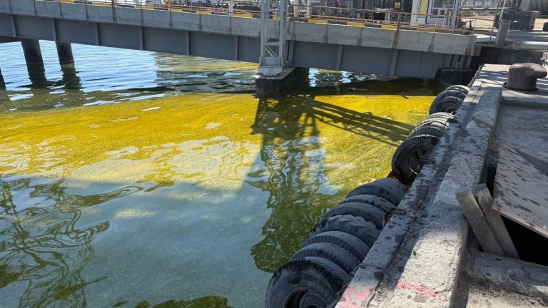 На Одещині після російського обстрілу в море витекла олія (ФОТО)