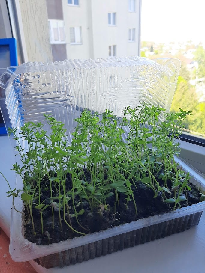 7eaadea0 de95 450c aed0 dc7bb13b19ef