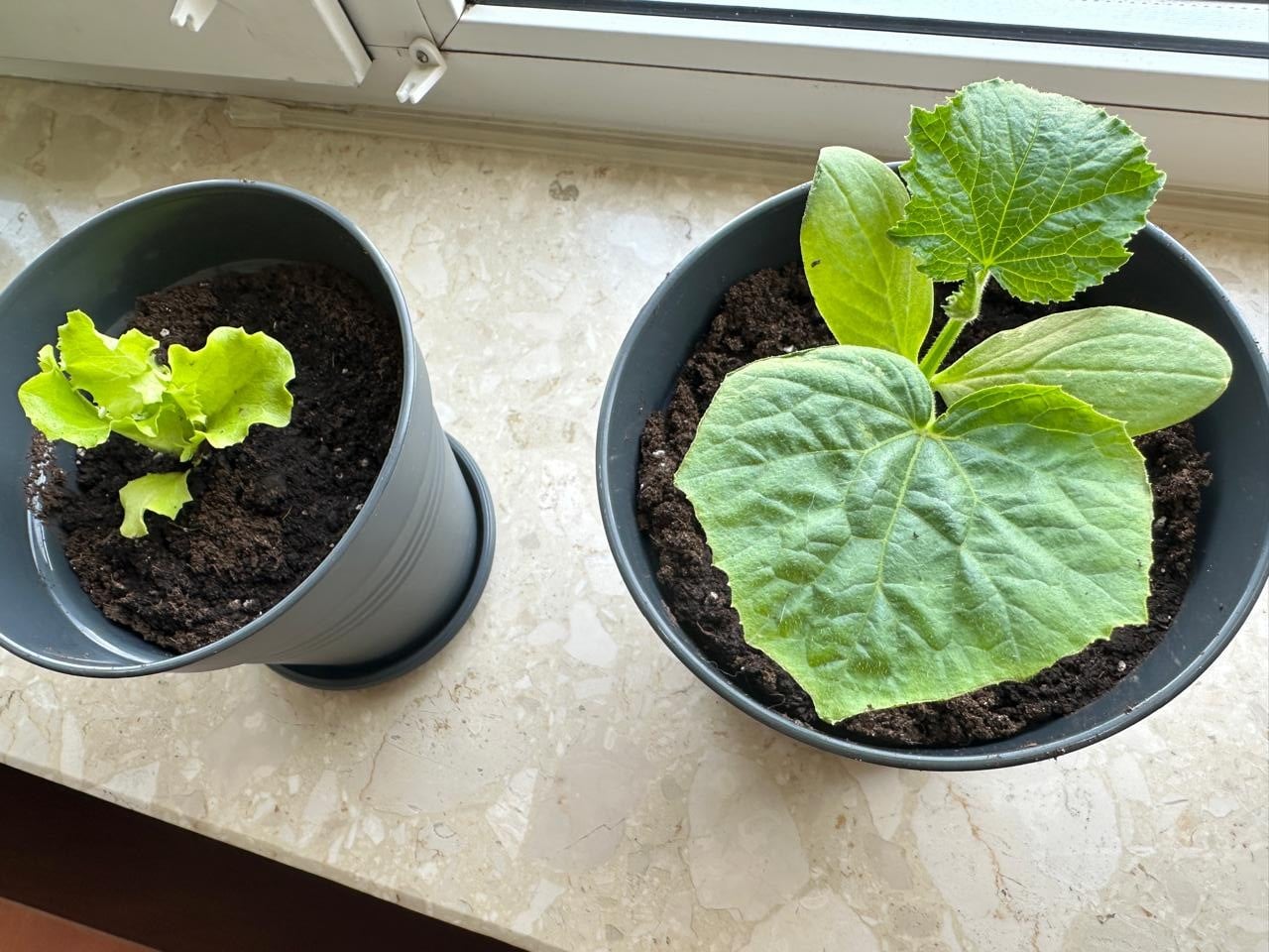 90ddb263 9a6b 451d 8643 bab907f3e139