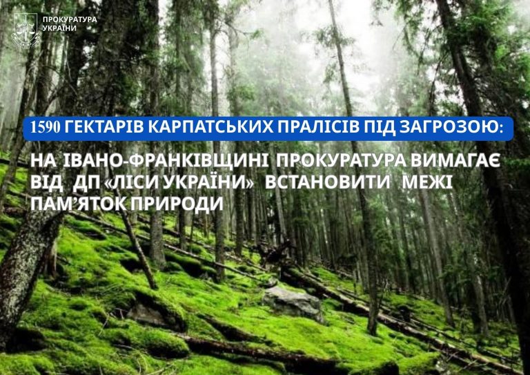 1590 гектарів карпатських пралісів на Франківщині під загрозою: в чому справа 4 FB IMG 1775547232013