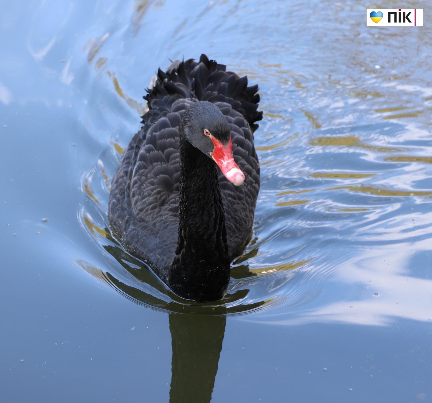 Люди Прикарпаття: в парку Шевченка в Івано-Франківську (ФОТО) 35 G71A9761 resize