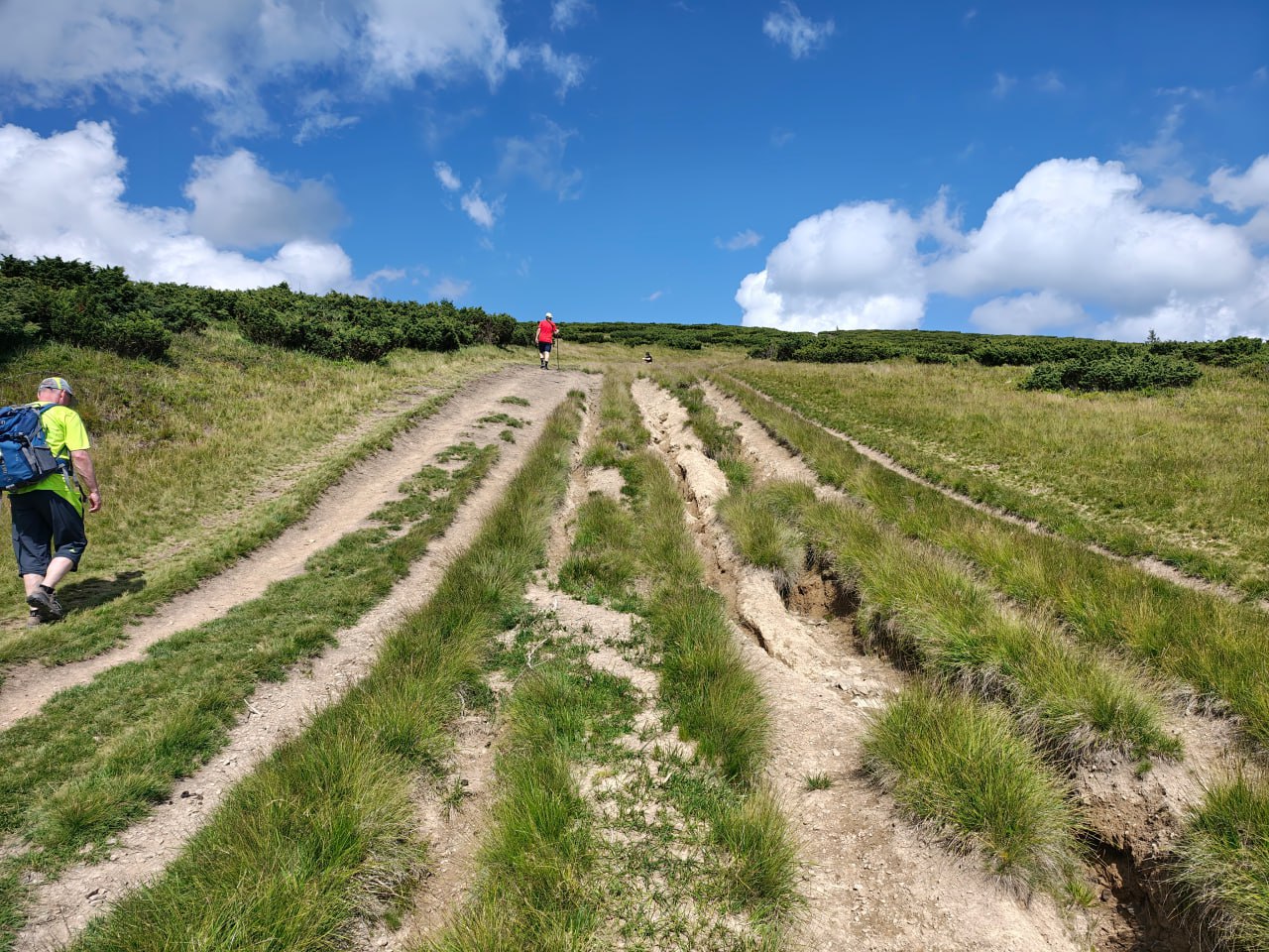 Igor Dykyj   WWF Ukrayina 2