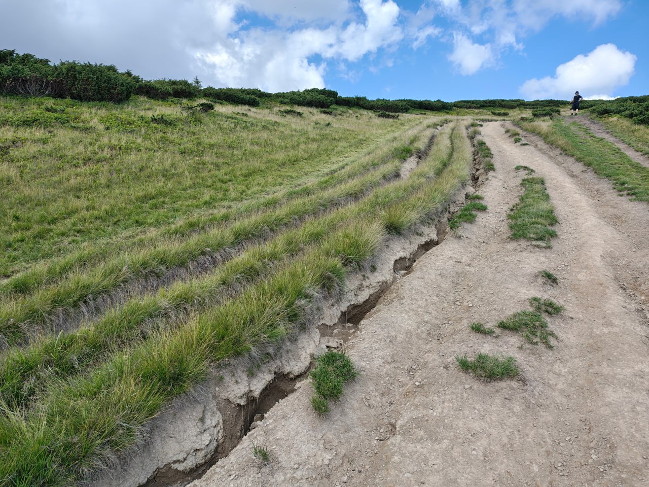 Igor Dykyj   WWF Ukrayina