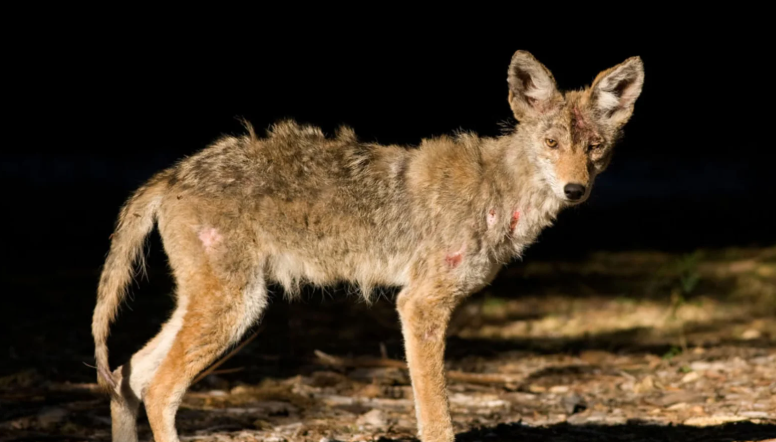 Znimok ekrana 2026 04 23 205033