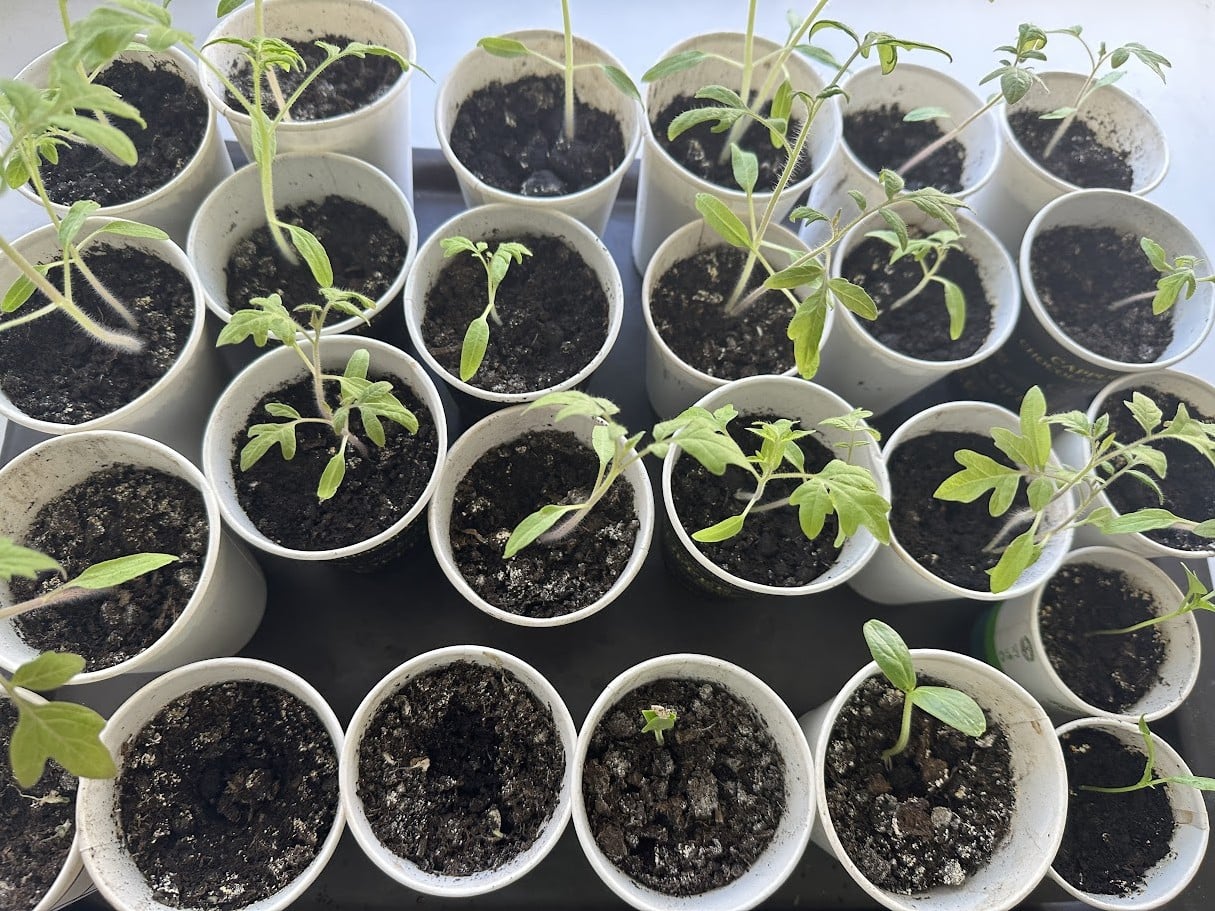 fc37812c c78e 4225 9cf1 4091710f0280