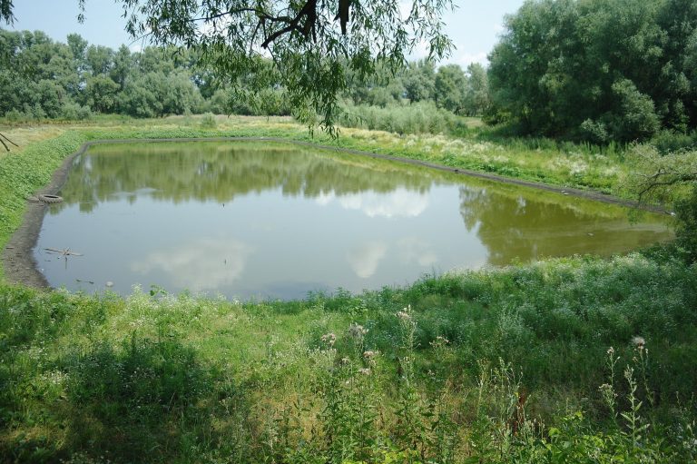 На Прикарпатті через суд вимагають повернути громаді землю з 12 ставками 3 gfvhf