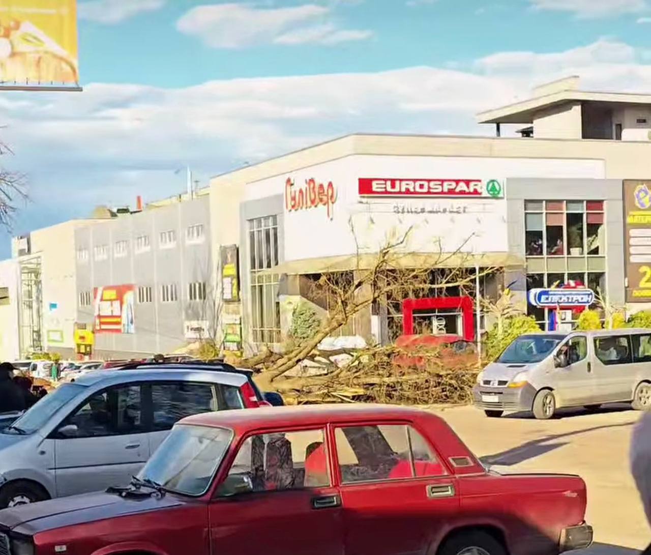 В центрі Бурштина впало велике дерево (ВІДЕО) 2 photo 2026 04 06 18 10 53