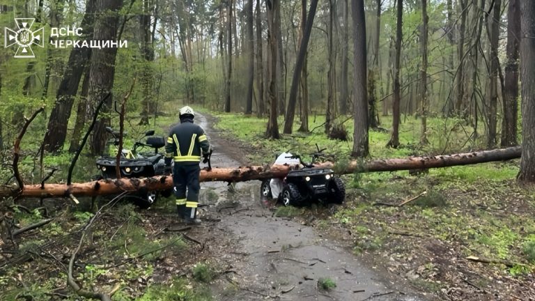 Негода в Україні: через падіння дерев загинули двоє людей (ФОТО) 4 photo 2026 04 26 16 15 08