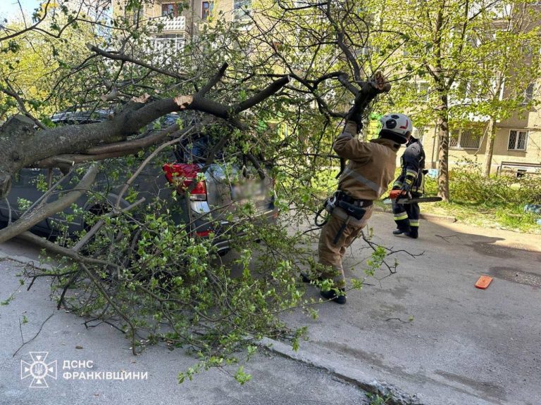 У Франківську через падіння дерев пошкоджені покрівлі будівель та автомобіль (ФОТО) 3 photo 2026 04 26 16 43 41