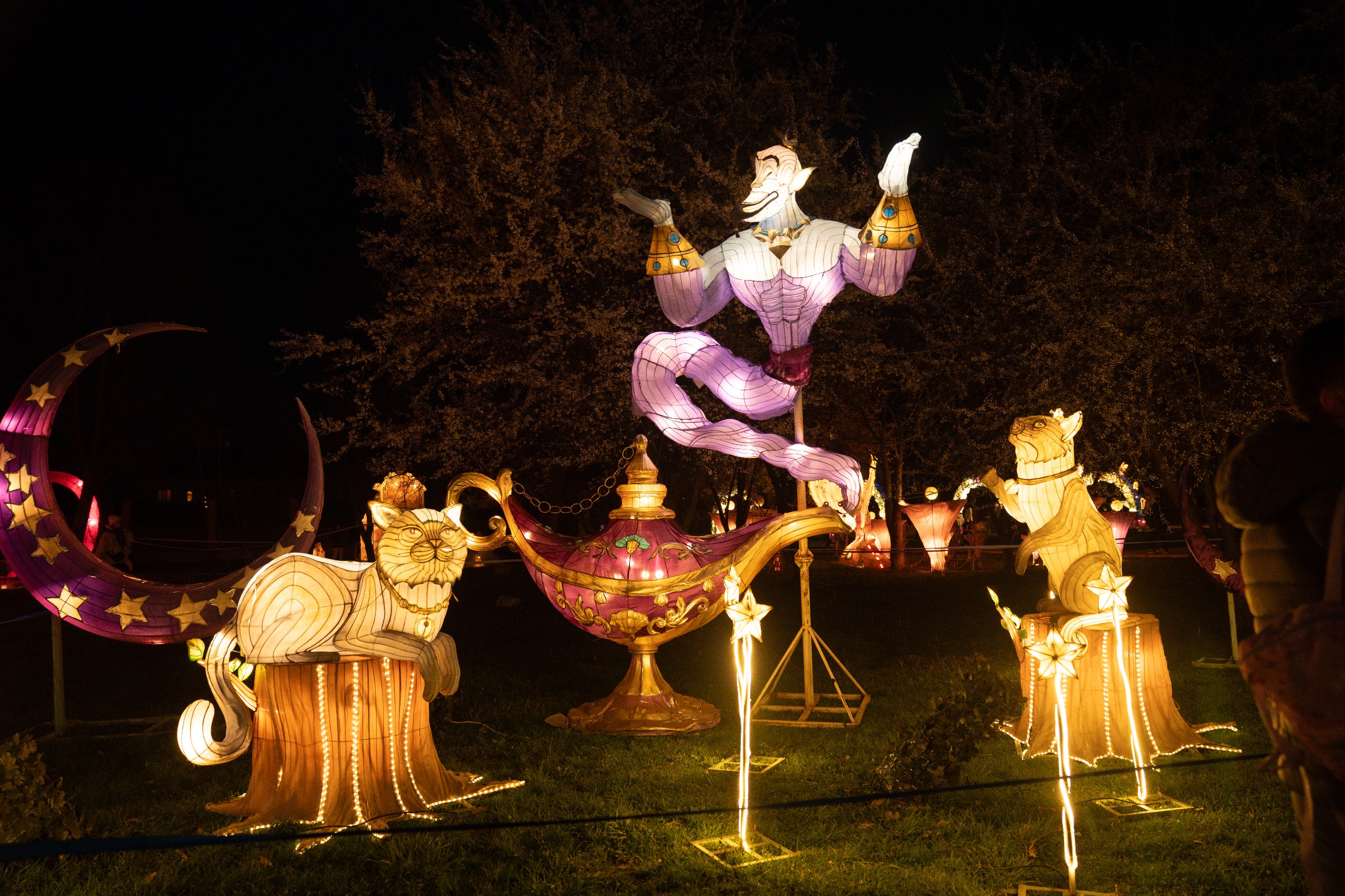 photo 5404679810866420706 w