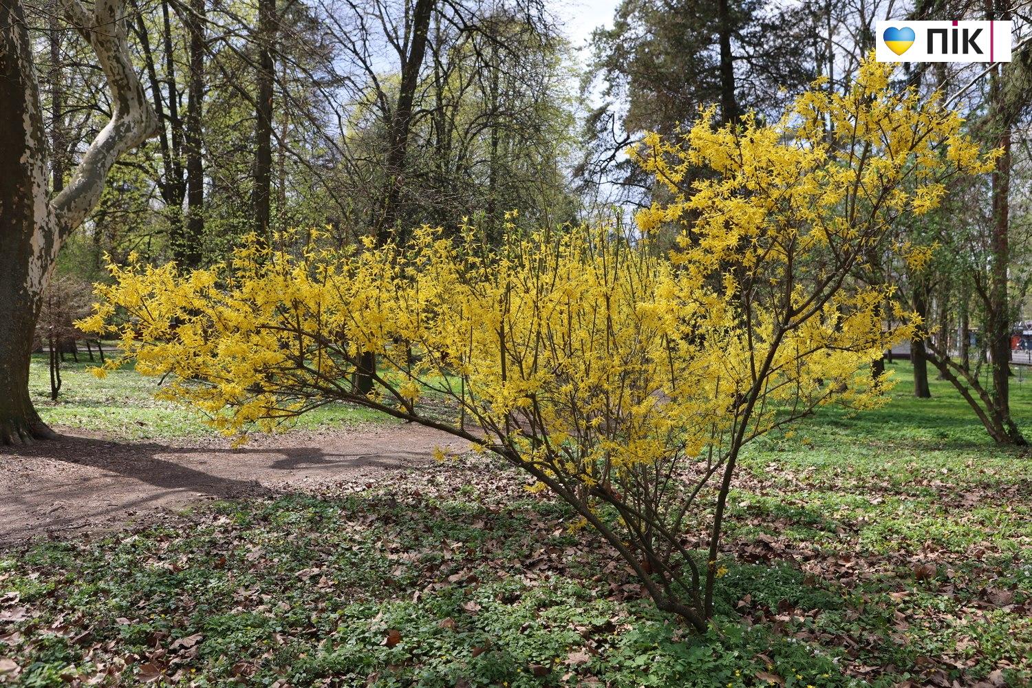 Люди Прикарпаття: в парку Шевченка в Івано-Франківську (ФОТО) 47 photo 5425098862780684044 w