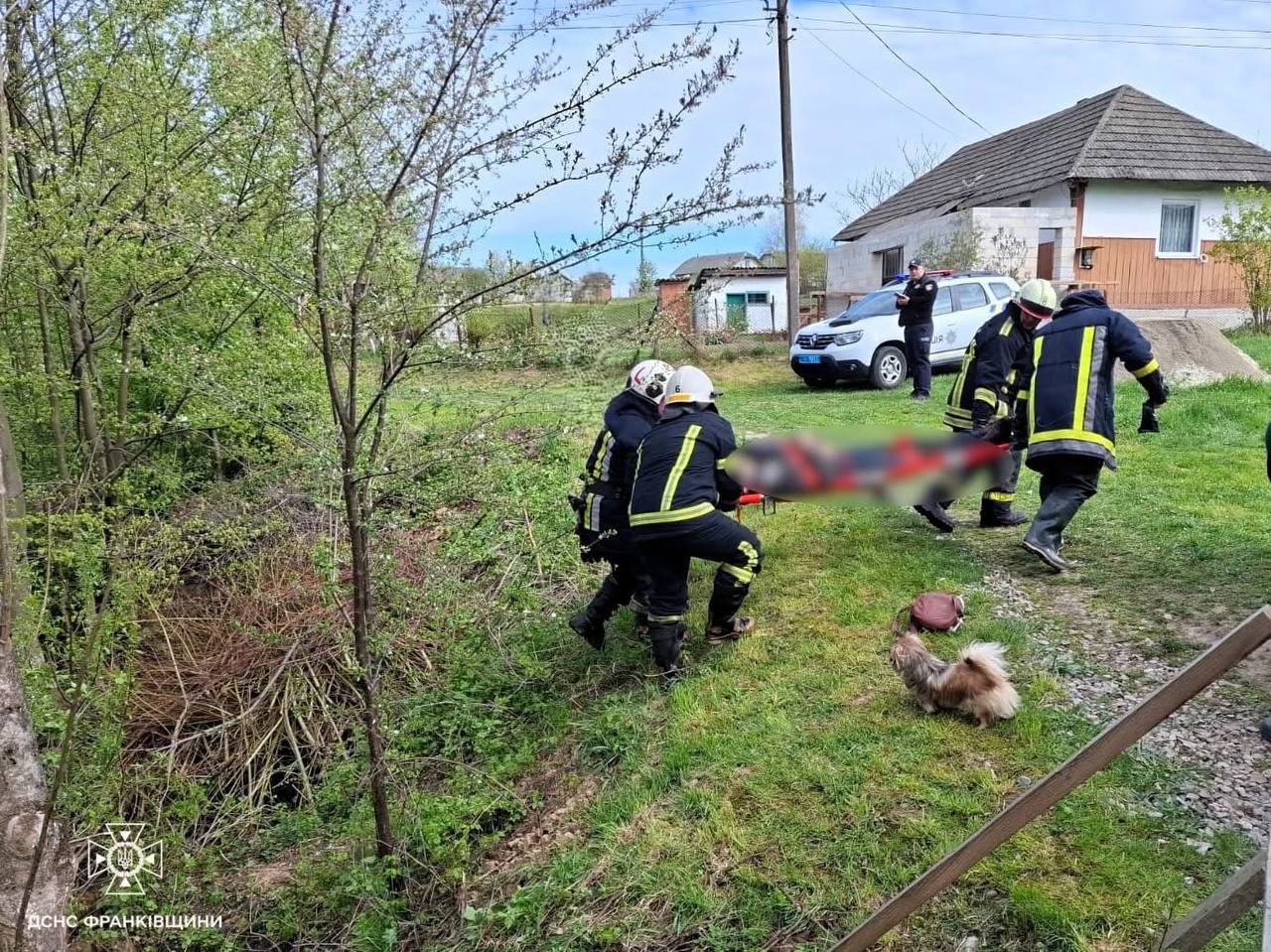 photo 5438547058219488870 y