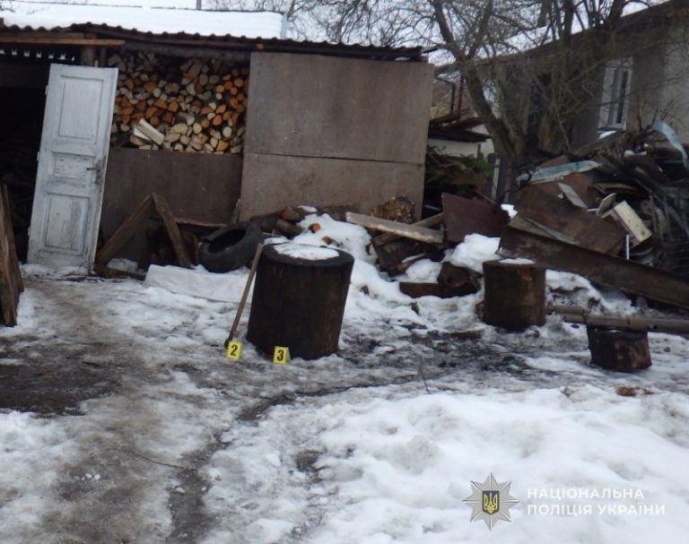 На Львівщині судитимуть чоловіка, який вбив сокирою кота