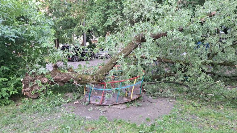 У Франківську через буревій впали вісім дерев (ФОТО) 2 709102066 1584449673682422 1733569250552596417 n