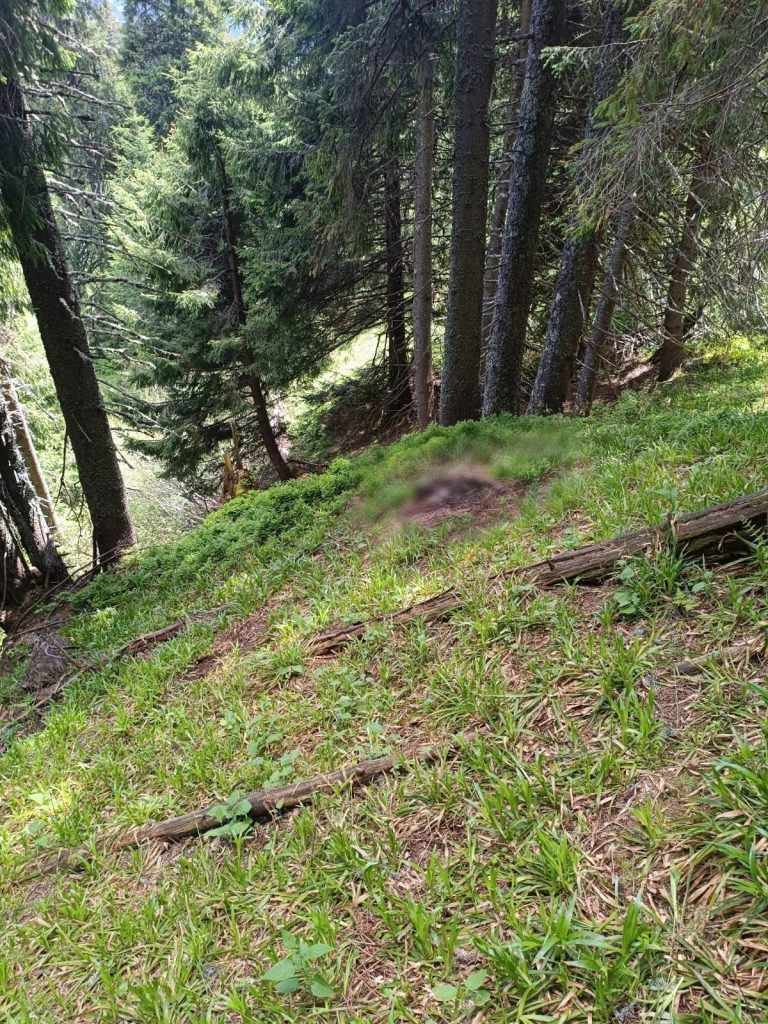 На Закарпатті поблизу румунського кордону знайшли тіло чоловіка (ФОТО) 11 В лісі біля Румунії прикордонники знайшли тіло чоловіка (ФОТО)